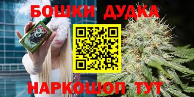 индика Северобайкальск