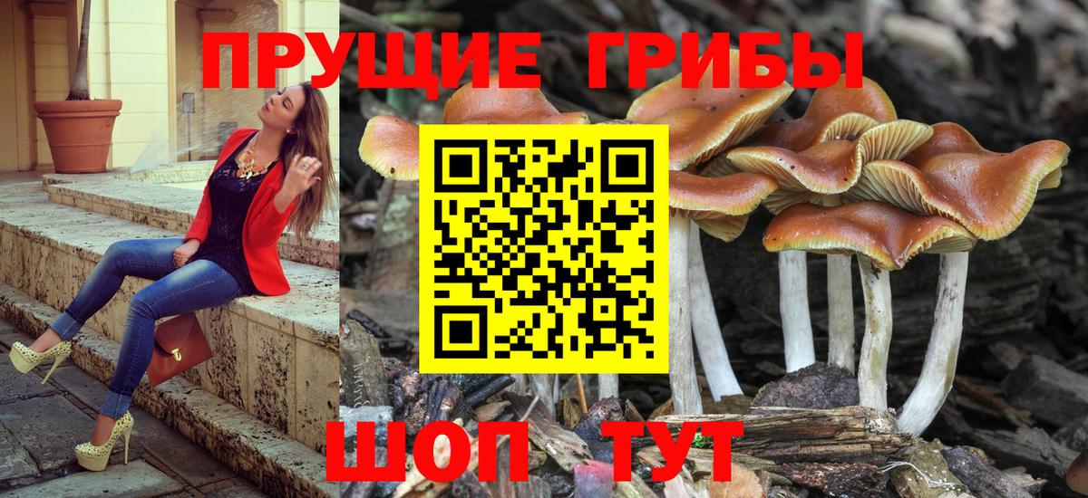 Галлюциногенные грибы ЛСД Светлоград